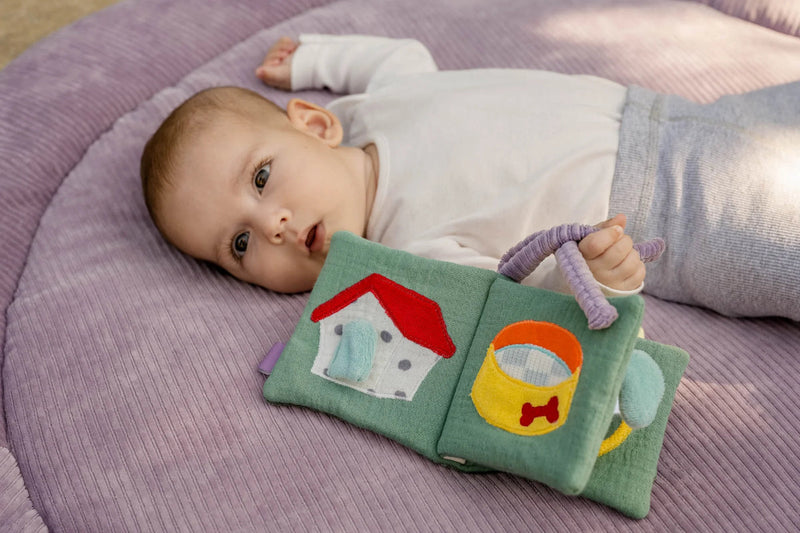 Babyboekjes
