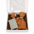 FredErik giftbox kraamcadeau Fehn Fred